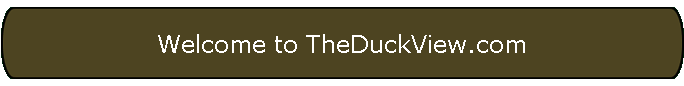 Welcome to TheDuckView.com
